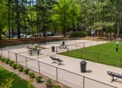 Thumbnail 17 of 22 - Pet Park