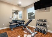 Thumbnail 18 of 34 - A well-equipped home gym with a mirror, bench, weights, and a television.