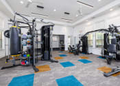 Thumbnail 23 of 35 - The Dorel Fitness Center