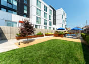 Thumbnail 49 of 54 - a backyard with a lawn and a patio with umbrellas