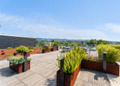 Thumbnail 51 of 54 - a roof terrace with plants and a view of the city