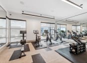 Thumbnail 38 of 50 - a gym with a large amount of exercise equipment and windows