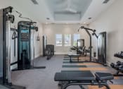 Thumbnail 36 of 59 - a fitness room with weights and cardio equipment and a window