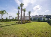 Thumbnail 41 of 59 - a yard with palm trees in front of a house