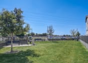Thumbnail 12 of 24 - the preserve at ballantyne commons community yard with grass and trees