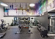 Thumbnail 5 of 32 - a gym with weights and cardio equipment and a mural on the wall