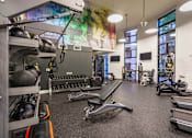 Thumbnail 6 of 32 - a gym with weights and cardio equipment and a mural on the wall