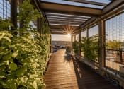 Thumbnail 32 of 51 - Equinox Rooftop Terrence Entrance  at Equinox Apartments, Washington, 98102