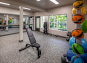Thumbnail 16 of 33 - A gym with a bench, weights, and exercise balls.