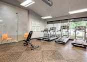 Thumbnail 28 of 39 - A gym with treadmills, a stationary bike, and a rowing machine.
