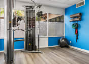 Thumbnail 11 of 23 - Fitness center with strength equipment and balance ball.