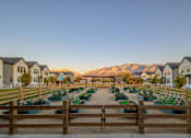 Thumbnail 23 of 29 - A row of houses with vegetable gardens in front of them.
