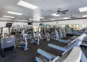 Thumbnail 28 of 28 - a large fitness room with cardio equipment and weights