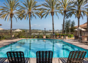 Thumbnail 23 of 28 - a pool with chairs and palm trees in the background