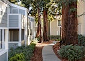 Thumbnail 28 of 32 - a pathway lined with trees in front of an apartment building