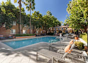 Thumbnail 4 of 24 - A pool surrounded by palm trees and lounge chairs.