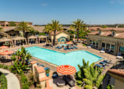 Thumbnail 1 of 33 - A large swimming pool surrounded by palm trees and lounge chairs.