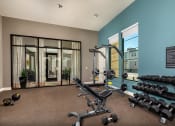 Thumbnail 13 of 47 - the gym at the preserve apartments