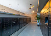 Thumbnail 42 of 48 - a view of the mailboxes and a plant in the corner of the room at VORA LUX, San Diego California