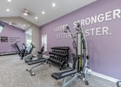 Thumbnail 13 of 19 - the gym at the flats at big tex apartments