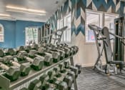 Thumbnail 20 of 35 - Fitness center