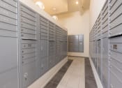 Thumbnail 42 of 59 - the lockers are organized and ready for use in the basement of the building at Element 12 Apartments, Henderson NV