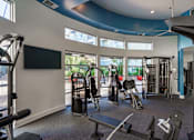Thumbnail 21 of 28 - A gym with a variety of equipment including a treadmill, weights, and a bench press.