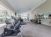 Thumbnail 11 of 22 - A gym with treadmills, elliptical machines, and weightlifting equipment.