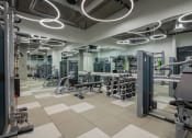 Thumbnail 26 of 30 - a gym with weights and cardio equipment in a building