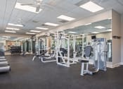 Thumbnail 7 of 36 - a photo of a gym with cardio equipment