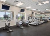 Thumbnail 10 of 36 - an image of a gym with treadmills and ellipticals