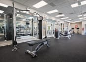 Thumbnail 12 of 36 - a photo of a gym with free weights and other exercise equipment