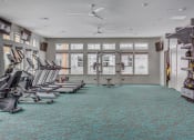Thumbnail 15 of 27 - Fitness Center