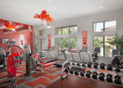 Thumbnail 11 of 21 - 24 hour fitness center with cardio equipment and weights