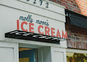 Thumbnail 28 of 30 - molly moons ice cream