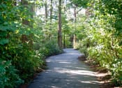 Thumbnail 34 of 44 - walkway with bushes and trees at Lionsgate South, Hillsboro, OR