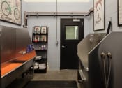 Thumbnail 35 of 44 - pet wash station at The Wyatt, Portland, OR