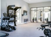 Thumbnail 15 of 47 - the gym in the owners home