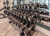 Thumbnail 20 of 31 - the gym is equipped with weights and a television