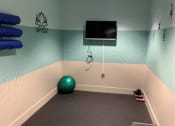 Thumbnail 23 of 32 - a workout room in a gym with a tv and a yoga ball