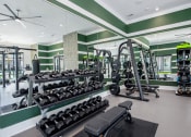 Thumbnail 30 of 38 - a gym with weights and dumbbells on the floor and green walls