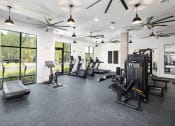 Thumbnail 28 of 41 - a gym with weights and cardio equipment and windows
