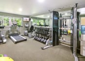 Thumbnail 15 of 44 - a gym with weights and cardio equipment in a room with windows