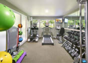 Thumbnail 16 of 44 - a gym with cardio equipment and a window view of the outdoors