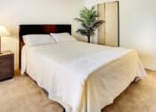 Thumbnail 42 of 44 - a bedroom with a white bed and a palm tree