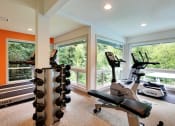 Thumbnail 16 of 30 - a gym with exercise equipment and large windows