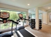 Thumbnail 15 of 30 - a gym with a large window and weights in it