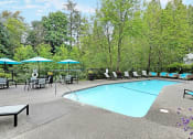 Thumbnail 13 of 30 - a resort style pool with chairs and umbrellas and trees