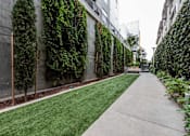 Thumbnail 25 of 34 - A concrete pathway leads through a green space with a wall of plants on one side.