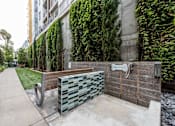 Thumbnail 23 of 34 - A green bench sits in front of a wall covered in greenery.
